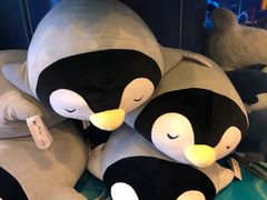 -上海海洋水族馆