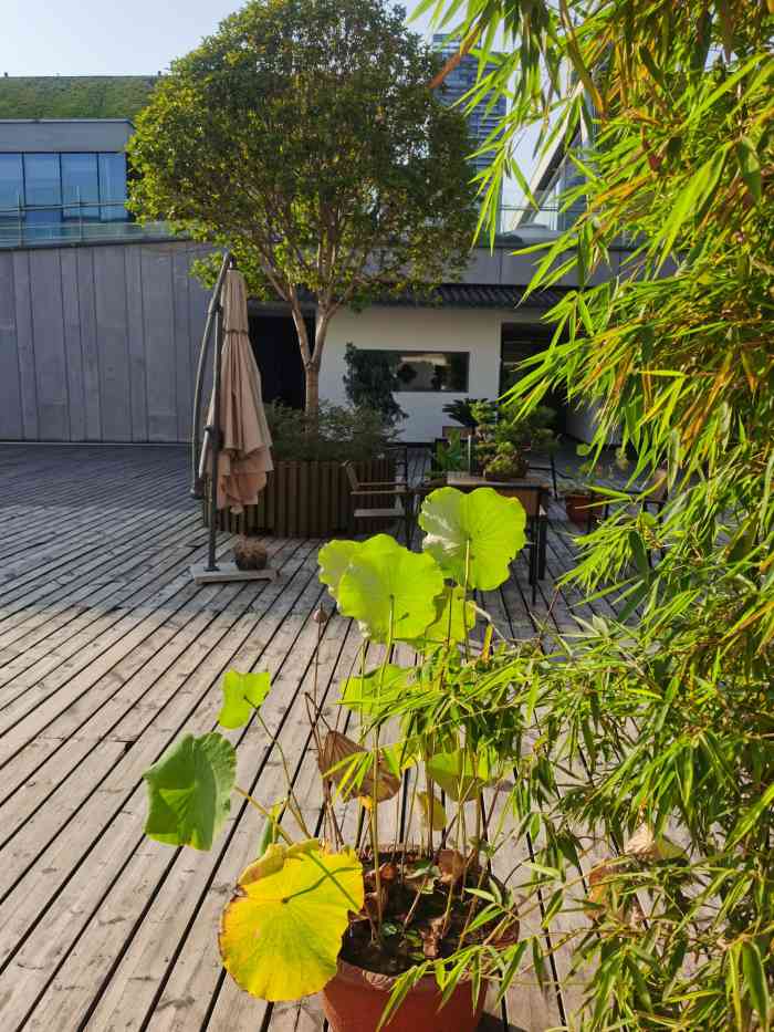 青禾餐厅(华侨城生态园店)-"今天只要这一餐就够满足啦吃到了我超爱的