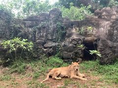 -海南热带野生动植物园