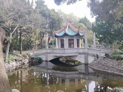-叶家花园