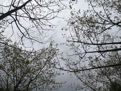 -温州永嘉书院