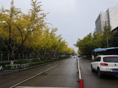 -赭山公园