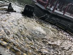-百脉泉景区