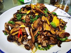 -菌之家·专业纯野生菌火锅·特色炒菌