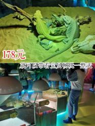 -七巧国萌宠乐园(龙湖天街店)