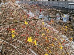 -元大都城垣遗址公园