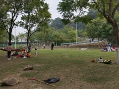 -火炉山森林公园