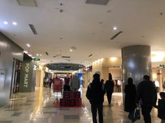 -鹏欣水游城