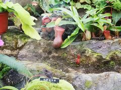 -国家植物园南园