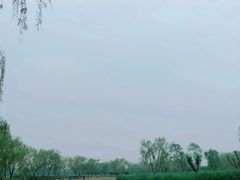 -大兴滨河森林公园