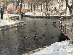 -水磨沟公园