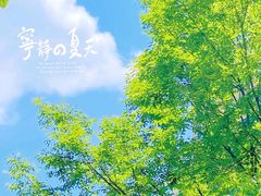 -青岛第一海水浴场