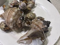 -青蓬蒸汽海鲜·深圳老字号·团建聚会(壹方城店)