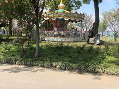 -鹅湖玫瑰文化园