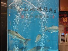 -谭厨中山传家菜.乳鸽.脆鲩鱼(华强北中航城店)