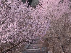 -香山公园