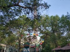 -哈尔滨文化公园