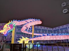 -锦江乐园舞狸花花游园会(夜场专享)