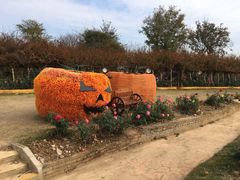 -武汉紫薇都市田园