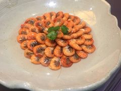 -常州环球恐龙城维景国际大酒店
