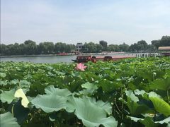 -小王府(什刹海店)