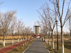 -永定河休闲森林公园