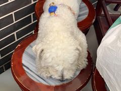 -恒信牛奶甜品(南京总店)