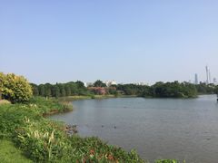 -海珠湖公园