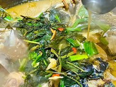 -花卉鱼庄(嘉园文景苑店)