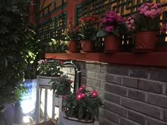 -百好乐宠物友好餐厅(朝外大街店)