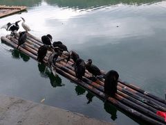 -楠溪江风景名胜区