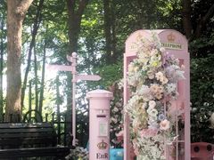 -合肥滨湖国家森林公园