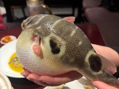 -永安鱼庄·镇江菜(东吴路店)