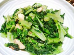 炒油麦菜菜-铁公鸡·四川料理(天环广场店)