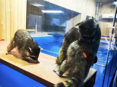 -沈阳海洋探索中心