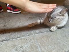 -龙华素斋(龙华路店)