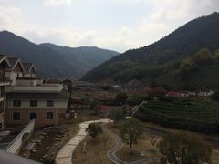 阳明温泉山庄-余姚阳明温泉山庄