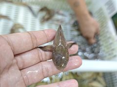 -沙头涌渔栏海鲜餐厅