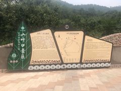 -山叶口景区