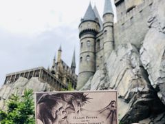-哈利波特魔法世界