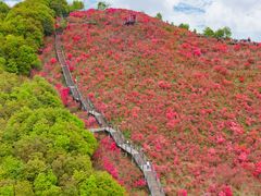 -瑞安圣井山景区