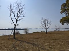 -漕湖湿地公园