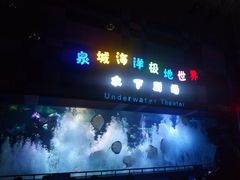 -泉城欧乐堡海洋极地世界