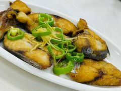 香煎马鲛鱼-阿九食店(南湾南路店)