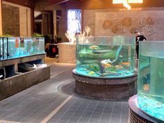 水产区-观澜湖酒店·邀月庭中餐厅