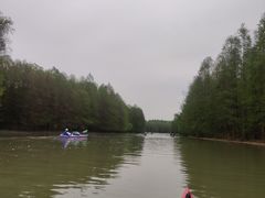 -上海海湾国家森林公园