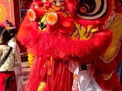 -越秀西湖花市(广州城市广场花卉店)