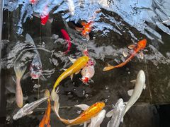 -天津海河悦榕庄·Lobby Lounge大堂吧