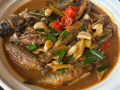 -新昌土菜馆(左于店)