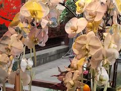 -钱王祠